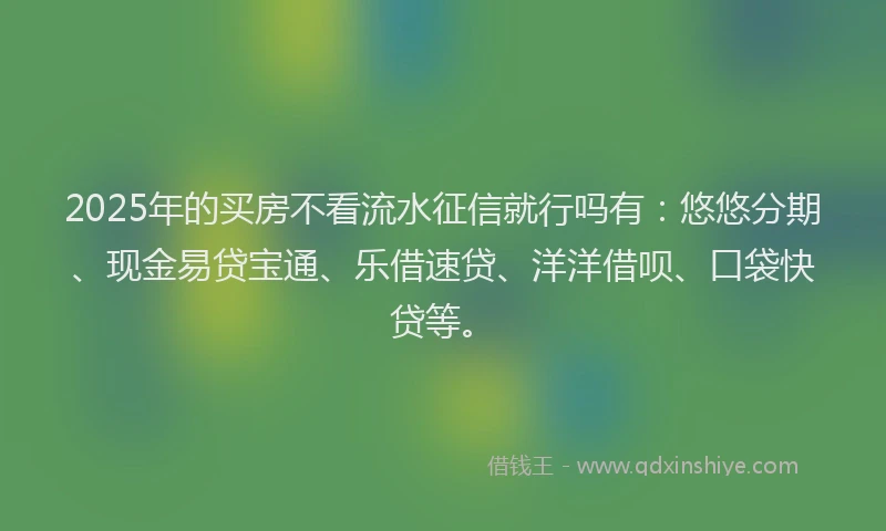 2025年的买房不看流水征信就行吗有：悠悠分期、现金易贷宝通、乐借速贷、洋洋借呗、口袋快贷等。