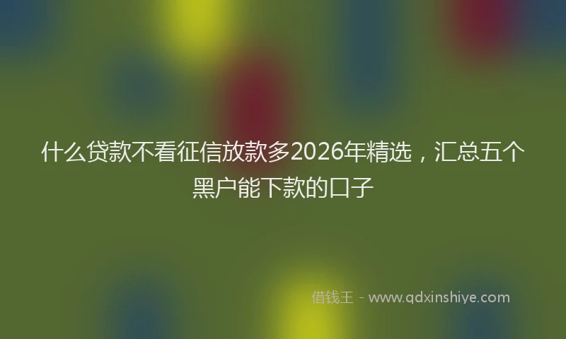 什么贷款不看征信放款多2026年精选,汇总五个黑户能下款的口子