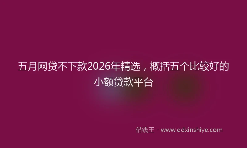 五月网贷不下款2026年精选,概括五个比较好的小额贷款平台