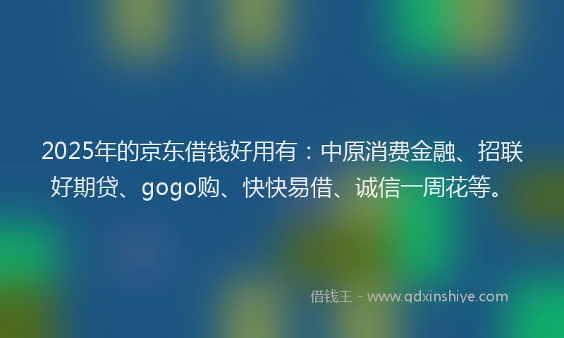 2025年的京东借钱好用有：中原消费金融、招联好期贷、gogo购、快快易借、诚信一周花等。