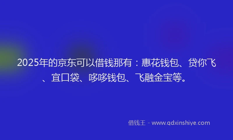 2025年的京东可以借钱那有:惠花钱包、贷你飞、宜口袋、哆哆钱包、飞融金宝等。