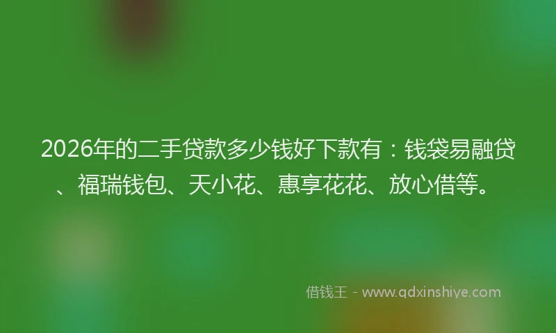 2026年的二手贷款多少钱好下款有：钱袋易融贷、福瑞钱包、天小花、惠享花花、放心借等。