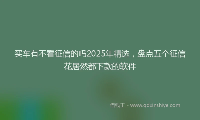 买车有不看征信的吗2025年精选，盘点五个征信花居然都下款的软件