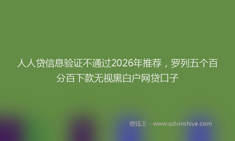 人人贷信息验证不通过2026年推荐，罗列五个百分百下款无视黑白户网贷口子