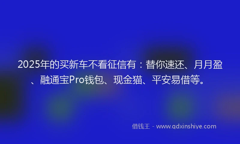 2025年的买新车不看征信有：替你速还、月月盈、融通宝Pro钱包、现金猫、平安易借等。
