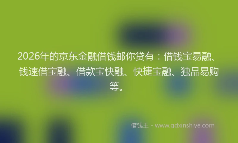 2026年的京东金融借钱邮你贷有：借钱宝易融、钱速借宝融、借款宝快融、快捷宝融、独品易购等。