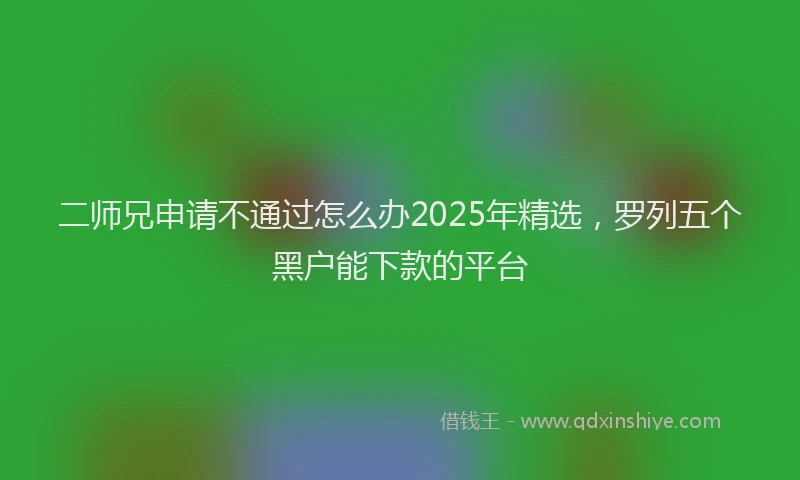 二师兄申请不通过怎么办2025年精选，罗列五个黑户能下款的平台
