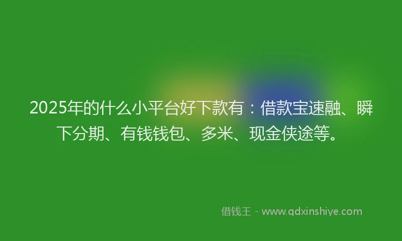 2025年的什么小平台好下款有:借款宝速融、瞬下分期、有钱钱包、多米、现金侠途等。