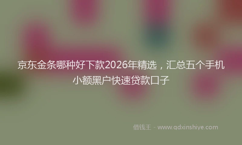 京东金条哪种好下款2026年精选，汇总五个手机小额黑户快速贷款口子