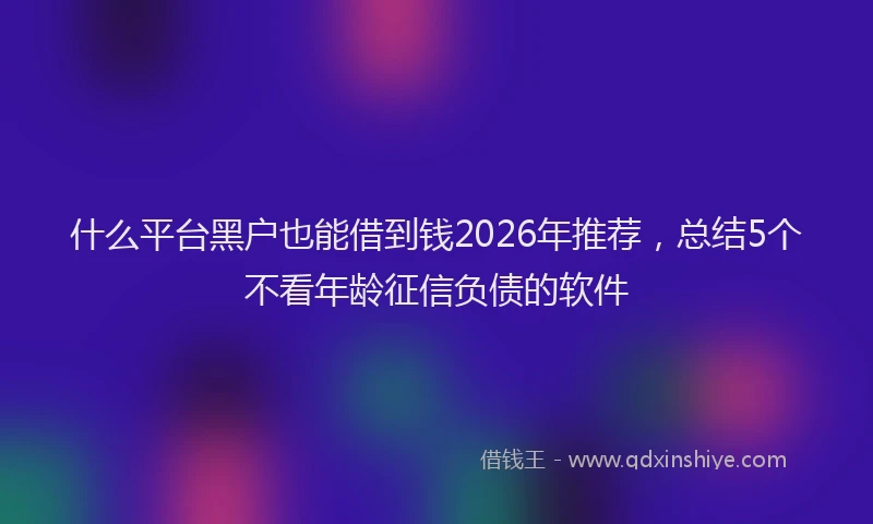 什么平台黑户也能借到钱2026年推荐，总结5个不看年龄征信负债的软件
