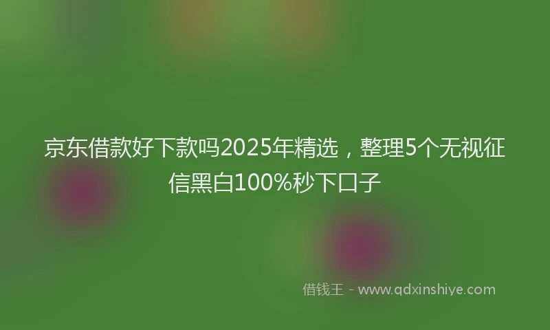 京东借款好下款吗2025年精选，整理5个无视征信黑白100%秒下口子