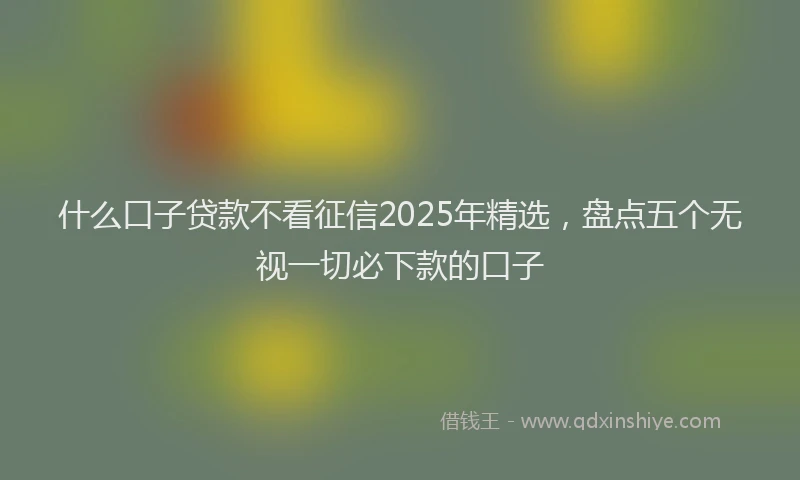 什么口子贷款不看征信2025年精选,盘点五个无视一切必下款的口子