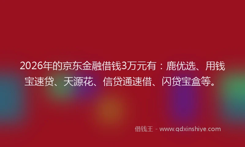 2026年的京东金融借钱3万元有：鹿优选、用钱宝速贷、天源花、信贷通速借、闪贷宝盒等。