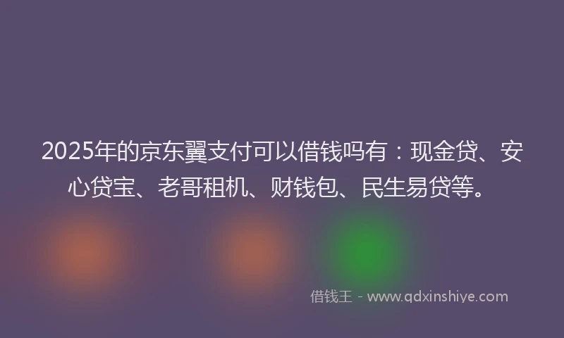 2025年的京东翼支付可以借钱吗有：现金贷、安心贷宝、老哥租机、财钱包、民生易贷等。