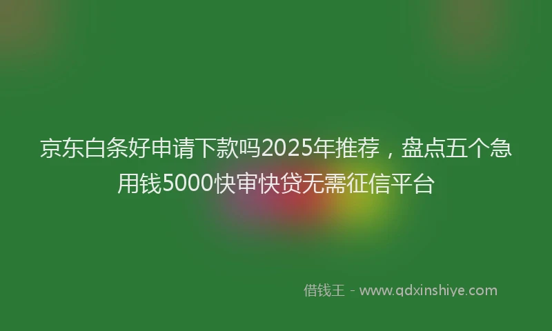 京东白条好申请下款吗2025年推荐，盘点五个急用钱5000快审快贷无需征信平台