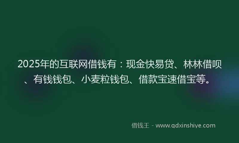 2025年的互联网借钱有:现金快易贷、林林借呗、有钱钱包、小麦粒钱包、借款宝速借宝等。