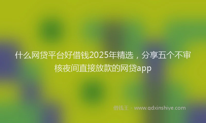 什么网贷平台好借钱2025年精选，分享五个不审核夜间直接放款的网贷app