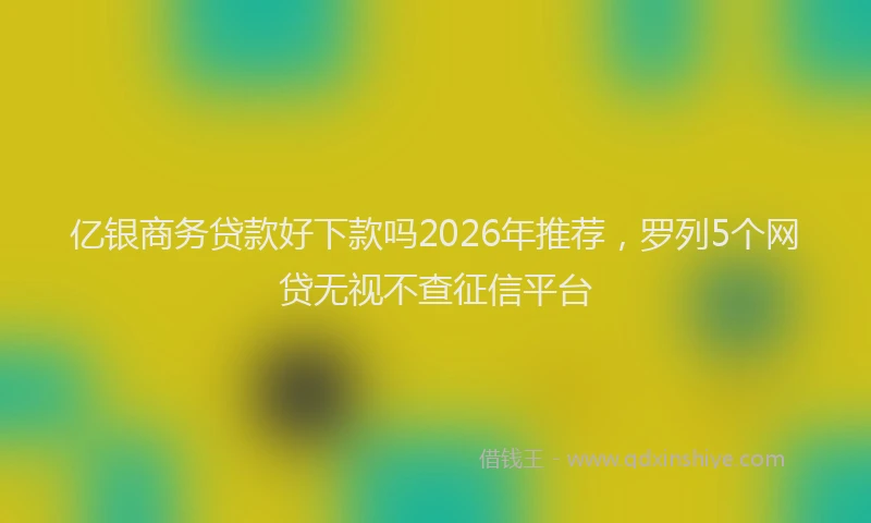 亿银商务贷款好下款吗2026年推荐，罗列5个网贷无视不查征信平台