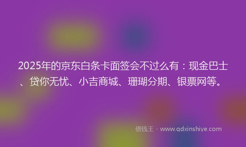 2025年的京东白条卡面签会不过么有：现金巴士、贷你无忧、小吉商城、珊瑚分期、银票网等。