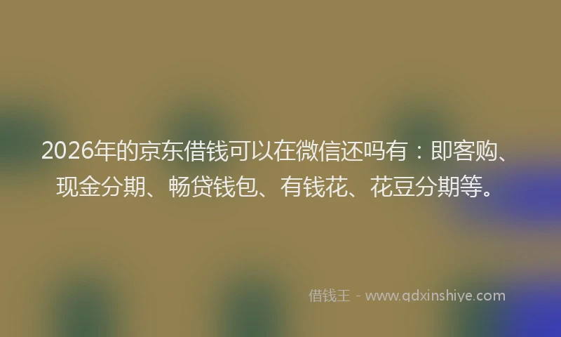 2026年的京东借钱可以在微信还吗有：即客购、现金分期、畅贷钱包、有钱花、花豆分期等。