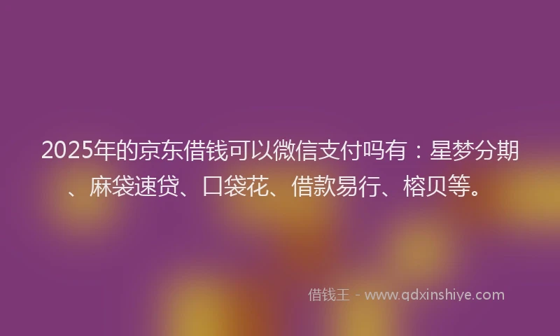 2025年的京东借钱可以微信支付吗有：星梦分期、麻袋速贷、口袋花、借款易行、榕贝等。
