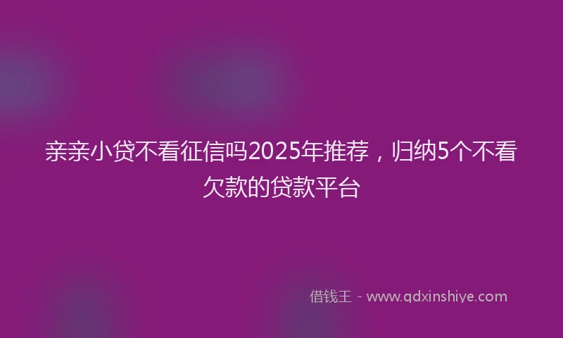 亲亲小贷不看征信吗2025年推荐，归纳5个不看欠款的贷款平台