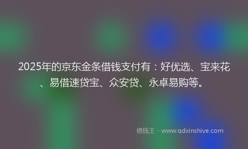 2025年的京东金条借钱支付有：好优选、宝来花、易借速贷宝、众安贷、永卓易购等。