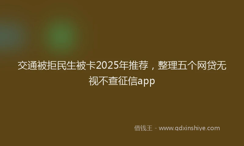 交通被拒民生被卡2025年推荐，整理五个网贷无视不查征信app