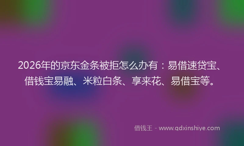 2026年的京东金条被拒怎么办有:易借速贷宝、借钱宝易融、米粒白条、享来花、易借宝等。