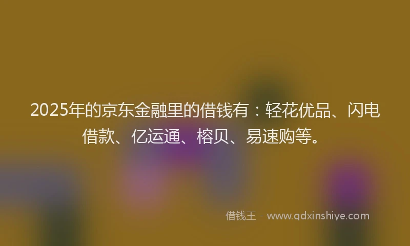 2025年的京东金融里的借钱有:轻花优品、闪电借款、亿运通、榕贝、易速购等。