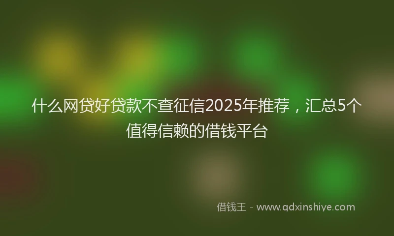 什么网贷好贷款不查征信2025年推荐，汇总5个值得信赖的借钱平台