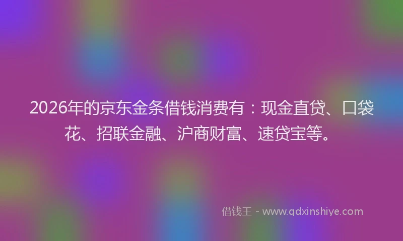 2026年的京东金条借钱消费有：现金直贷、口袋花、招联金融、沪商财富、速贷宝等。