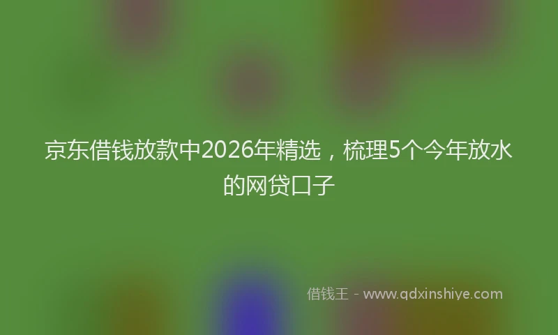 京东借钱放款中2026年精选，梳理5个今年放水的网贷口子