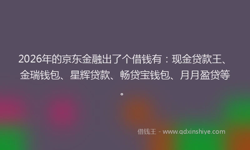 2026年的京东金融出了个借钱有：现金贷款王、金瑞钱包、星辉贷款、畅贷宝钱包、月月盈贷等。