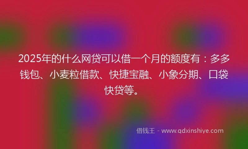 2025年的什么网贷可以借一个月的额度有:多多钱包、小麦粒借款、快捷宝融、小象分期、口袋快贷等。