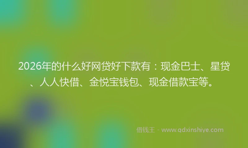 2026年的什么好网贷好下款有：现金巴士、星贷、人人快借、金悦宝钱包、现金借款宝等。
