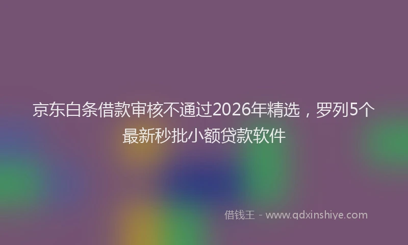 京东白条借款审核不通过2026年精选，罗列5个最新秒批小额贷款软件