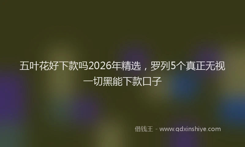五叶花好下款吗2026年精选,罗列5个真正无视一切黑能下款口子