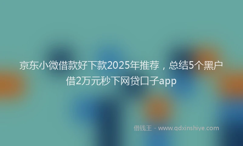 京东小微借款好下款2025年推荐，总结5个黑户借2万元秒下网贷口子app