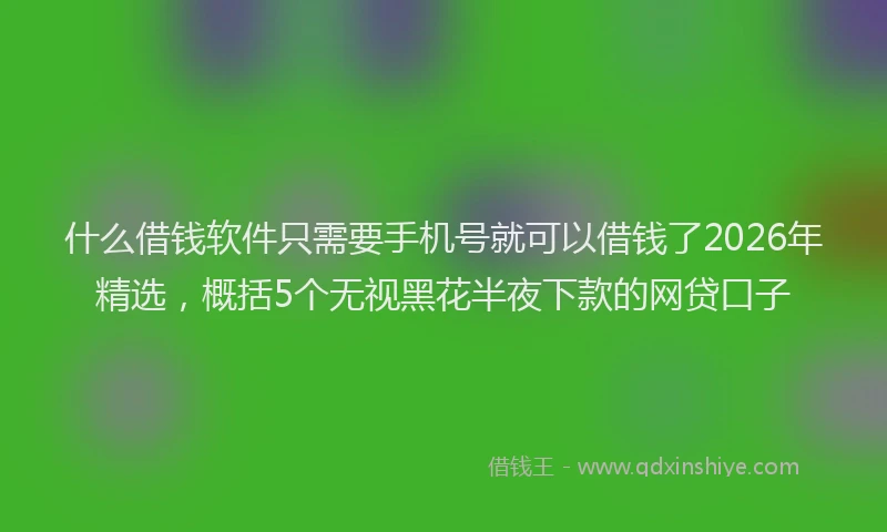 什么借钱软件只需要手机号就可以借钱了2026年精选，概括5个无视黑花半夜下款的网贷口子