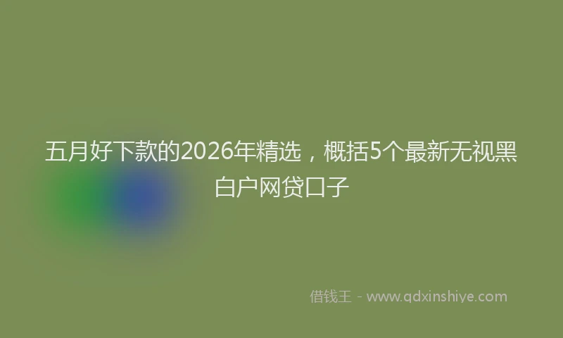 五月好下款的2026年精选,概括5个最新无视黑白户网贷口子