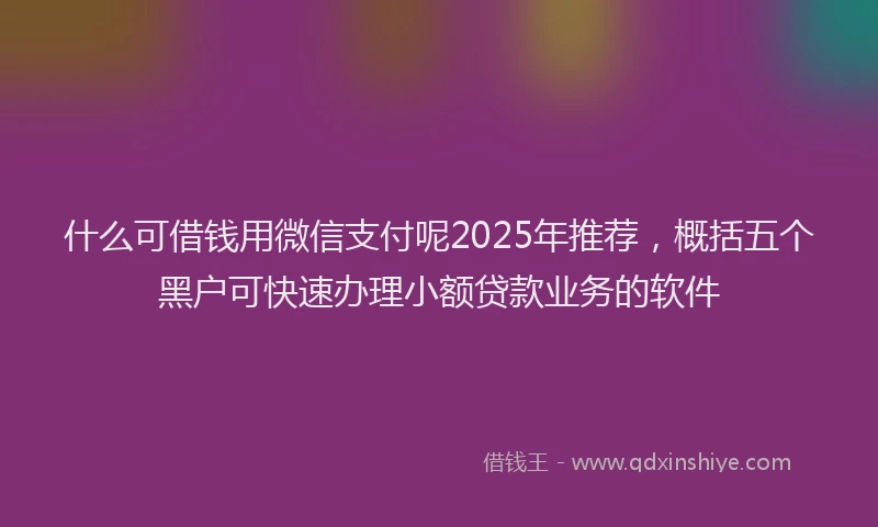 什么可借钱用微信支付呢2025年推荐，概括五个黑户可快速办理小额贷款业务的软件