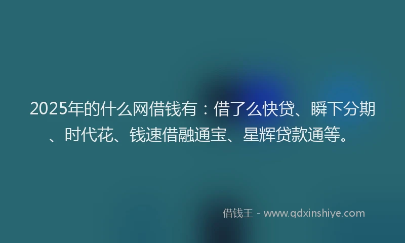 2025年的什么网借钱有：借了么快贷、瞬下分期、时代花、钱速借融通宝、星辉贷款通等。