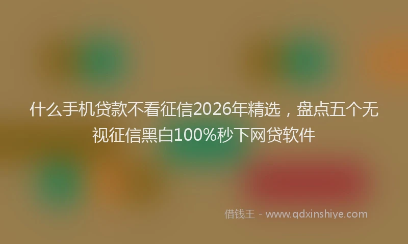什么手机贷款不看征信2026年精选，盘点五个无视征信黑白100%秒下网贷软件