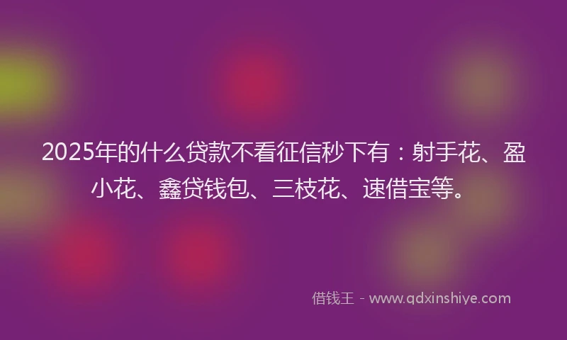 2025年的什么贷款不看征信秒下有：射手花、盈小花、鑫贷钱包、三枝花、速借宝等。