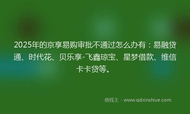 2025年的京享易购审批不通过怎么办有：易融贷通、时代花、贝乐享-飞鑫琼宝、星梦借款、维信卡卡贷等。