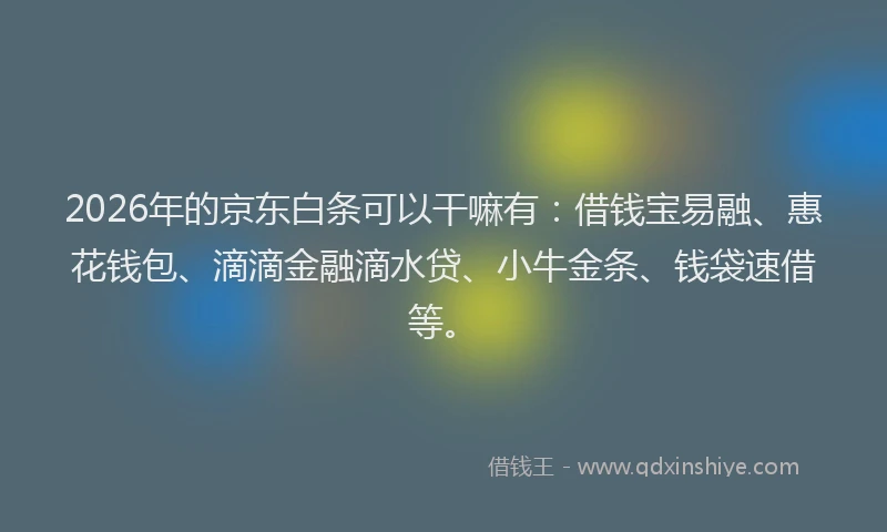 2026年的京东白条可以干嘛有：借钱宝易融、惠花钱包、滴滴金融滴水贷、小牛金条、钱袋速借等。