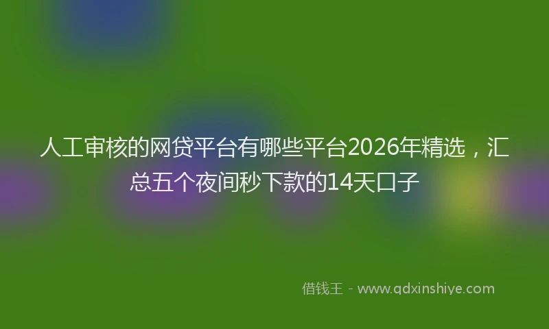 人工审核的网贷平台有哪些平台2026年精选，汇总五个夜间秒下款的14天口子