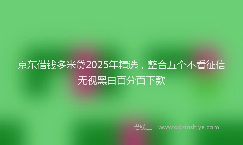 京东借钱多米贷2025年精选，整合五个不看征信无视黑白百分百下款
