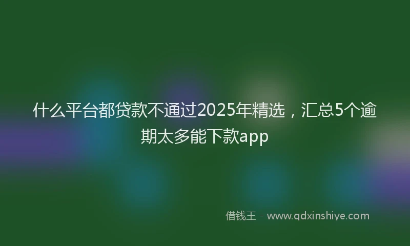 什么平台都贷款不通过2025年精选，汇总5个逾期太多能下款app